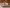 Macrina-Bakery-Seattle-innen-4-drytile