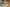 DryTile-Projekt-Macrina-Bakery-Seattle Motiv-12 default 3600px